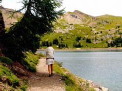 Mercantour : le parc défend la diversité