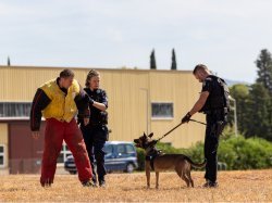 Le chien Kenzo de la gendarmerie reçoit la médaille de la défense nationale 