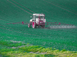 Le glyphosate, un « cancer » pour Bayer…