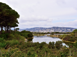 La municipalité de Cannes primée pour ses initiatives de gestion des déchets sur l'île Sainte-Marguerite