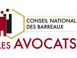 Secret des avocats : le CNB tire à boulets rouges !