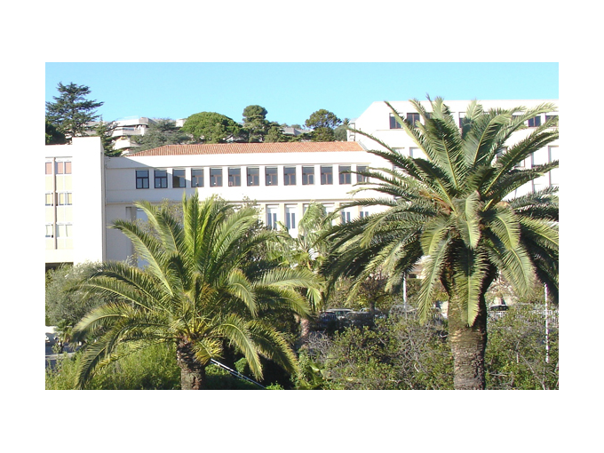 Le rôle de l'Université