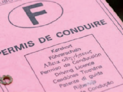 Permis à points : petites idées fausses aux grandes conséquences