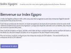 Index de l'égalité professionnelle : au tour des entreprises de plus de 250 salariés de le publier