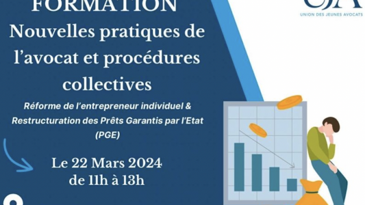 Formation UJA NICE - « Nouvelles pratiques de l'avocat et procédures collectives »