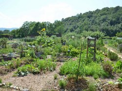 Mouans-­Sartoux élue "Capitale régionale de la biodiversité 2017"