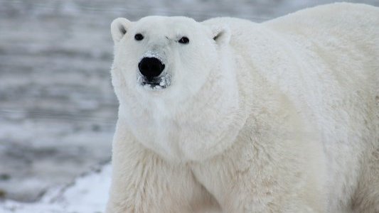 Investissement : l'avenir de la planète sera "vert" ou... catastrophique