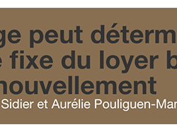 Le juge peut déterminer la partie fixe du loyer binaire en renouvellement