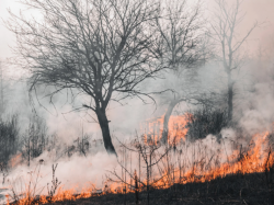 Vos infos de ce lundi 28 mars