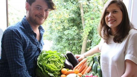 Fruit and Food : le site anti gaspi pour partager tout ce qui n'est pas consommé dans notre jardin