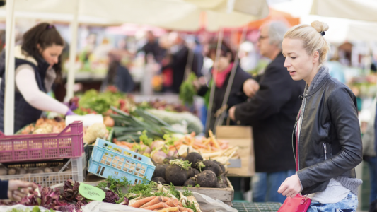 Fête de l'agriculture San Bertoumiéu : Appel à manifestation d'intérêt pour la vente de produits agricoles locaux