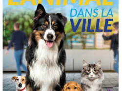 Nice accueille le 1er colloque national l'« Animal dans la ville »