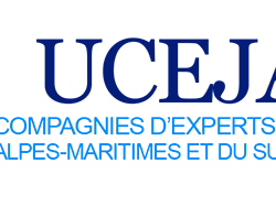 Ucejam : une nouvelle saison pour les experts judiciaires