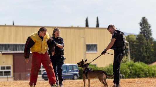 Le chien Kenzo de la gendarmerie reçoit la médaille de la défense nationale 