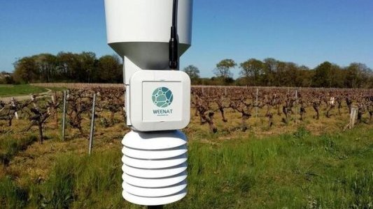 Weenat acquiert Weather Measures, Le spécialiste de la météo de précision pour l'agriculture