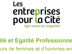 L'égalité professionnelle, mais qu'en disent-elles ?