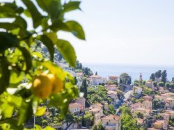 Le Citron de Menton, reconnu au plus haut niveau !