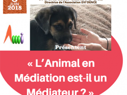 Conférence « L'Animal en Médiation est-il un Médiateur ? » le 8 juin à Nice ?
