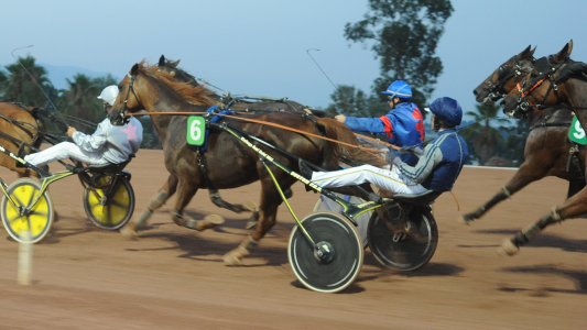 HIPPODROME DE LA CO ?TE D'AZUR : QUAND LE TROT FAIT SON SHOW