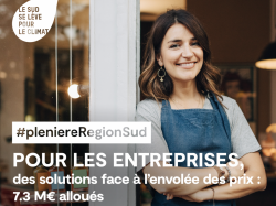 Plénière Région Sud : de nouvelles aides pour soutenir les entreprises 