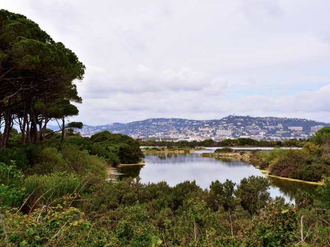 La municipalité de Cannes