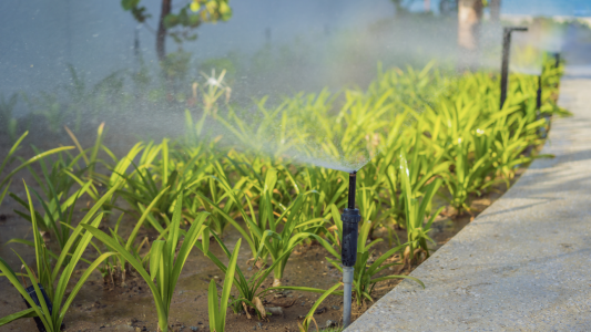 Agriculture : nouvelles normes pour les eaux usées utilisées 