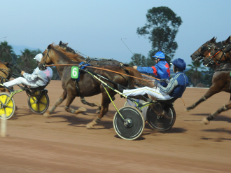 HIPPODROME DE LA CO ?TE D'AZUR : QUAND LE TROT FAIT SON SHOW