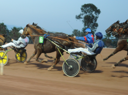 HIPPODROME DE LA CO ?TE D'AZUR : QUAND LE TROT FAIT SON SHOW