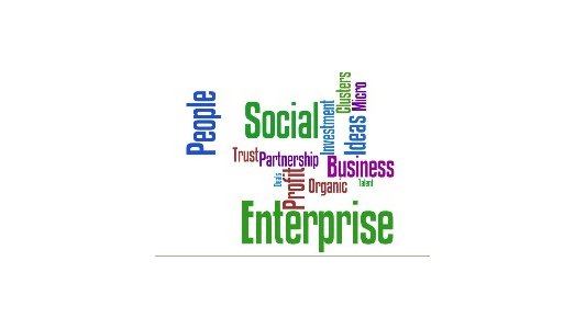  Le social business : une entreprise rentable et non délocalisable