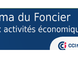 1er bilan du foncier dédié aux activités économiques dans les Alpes Maritimes 