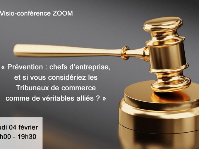 Visioconf - "Les tribunau