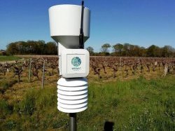 Weenat acquiert Weather Measures, Le spécialiste de la météo de précision pour l'agriculture