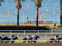 Le 11 février tous à l'Hippodrome pour la journée Fondation Claude Pompidou 