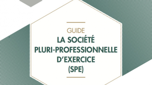 Lancement du guide de création des sociétés pluriprofessionnelles d'exercice (SPE) par six professions réglementées 