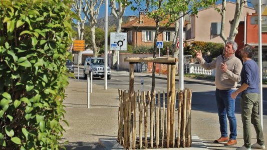 Au Pradet, un programme de plantation contre les îlots de chaleur