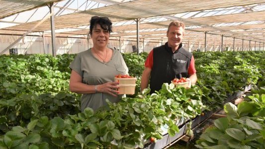 Hervé Beneventi, la qualité des fruits et légumes