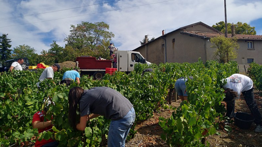 Travail : des contrôles « européens » sur les détachés et saisonniers