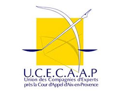 Ucecaap : les experts judiciaires et le secret professionnel