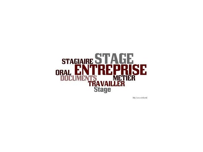 Stages en entreprise (...)