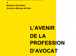 Réflexions sur « L'avenir de la profession d'avocat »