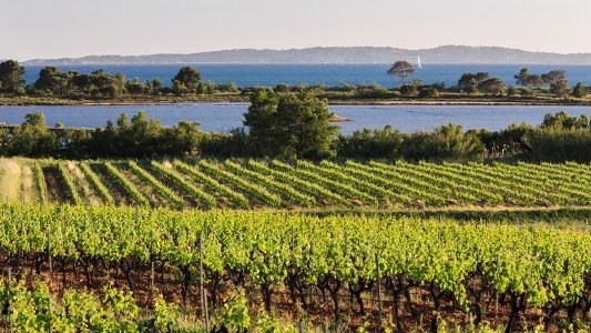 La Londe-les-Maures plébiscitée par les Français