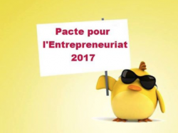  Poussins sortez de votre coquille et faites entendre votre voix pour l'élection présidentielle de 2017 !