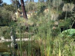 Menton : 3e Bourse aux Plantes au Jardin Serre de la Madone