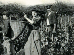 Foire aux vins : de vraies bonnes affaires... à mener avec précaution