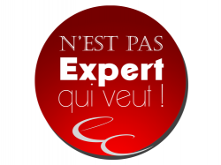 Les experts-comptables en guerre contre l'exercice illégal