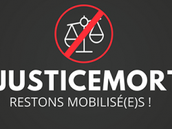 TGI de NICE et GRASSE : une nouvelle journée "justice morte" ce jeudi 22 novembre