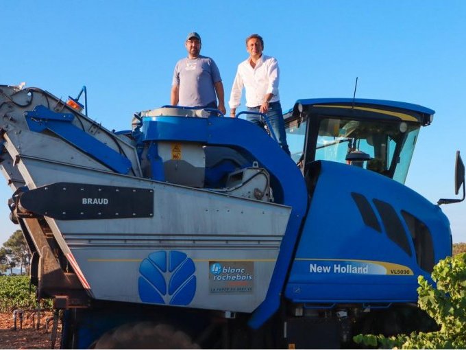 A La Londe, les vendanges