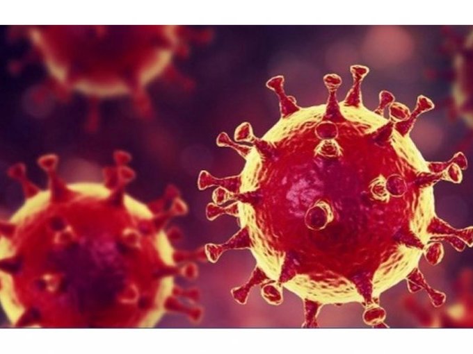 Coronavirus, une platefor