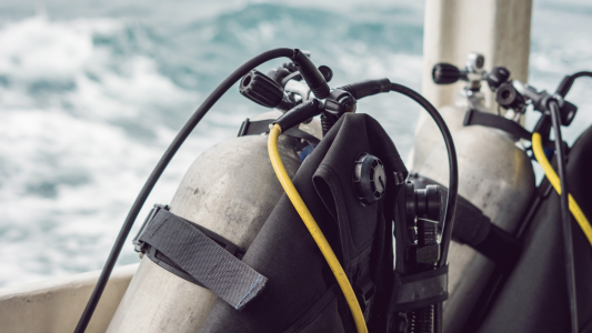 Cannes : concession de domaine public pour l'exploitation d'un bateau de plongée sous-marine au départ du Vieux-Port 