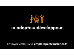 Les Petites Affiches recrutent un développeur web/mobile